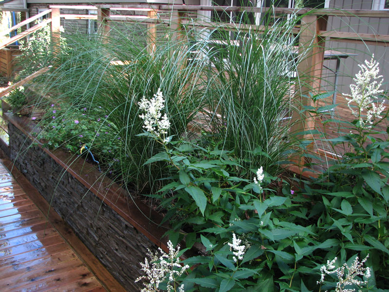 Ancaster (Deck and Water Feature)